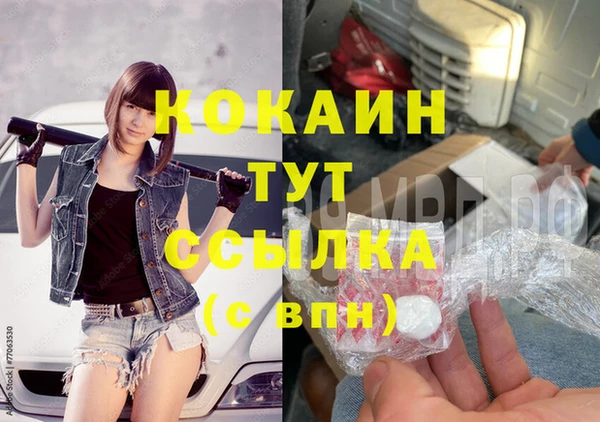 индика Усинск