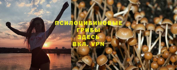 кокаин перу Вяземский